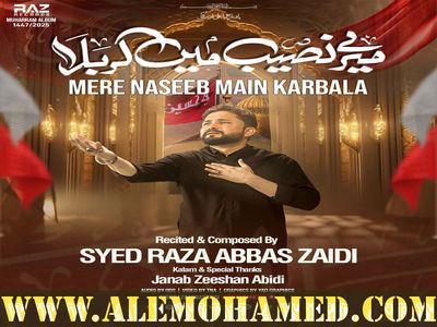 Raza Abbas Zaidi