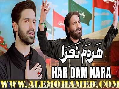 Ali Shanawar