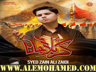 Zain Ali Zaidi